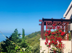 Apartments Villa Lazic